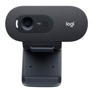 Webcam Logitech C505E/ 1280 x 720 HD