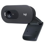 Webcam Logitech C505E/ 1280 x 720 HD