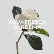 Adolfo Dominguez Agua Fresca De Gardenia Musk Edt Vapo 120 ml