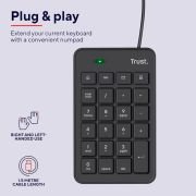 Trust Xalas Teclado Numérico USB para PC Portátil y Ordenador, Numpad Ultradelgado, Mini Teclado Portátil con 5 Teclas Adicionales, Perfil Bajo, Cable de 1,5 m, Cálculo de Números Oficina